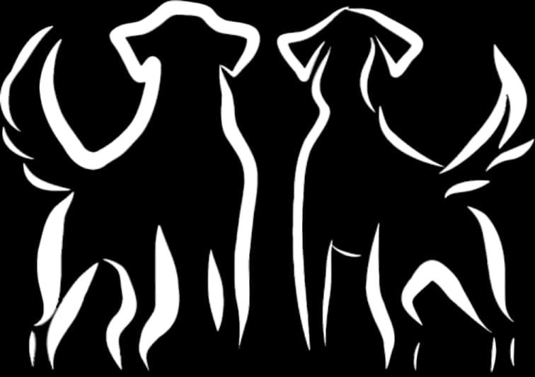 Logo Tails On A Mission